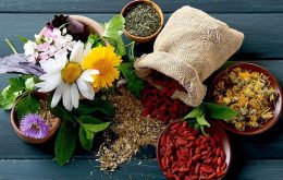 گیاهان دارویی